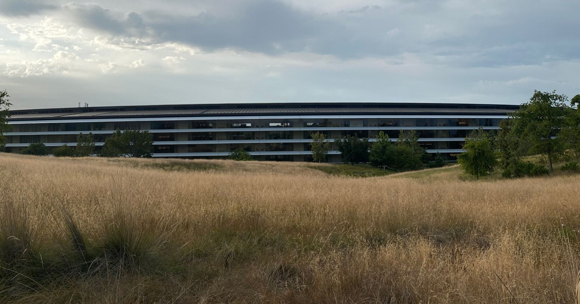 Apple Park building — one of the most technologically and aesthetically refined projects in the world